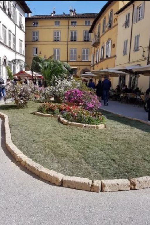 fiori e fronde