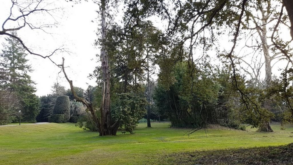 una visita a villa grabau
