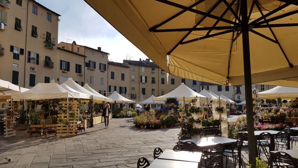 fiori e fronde