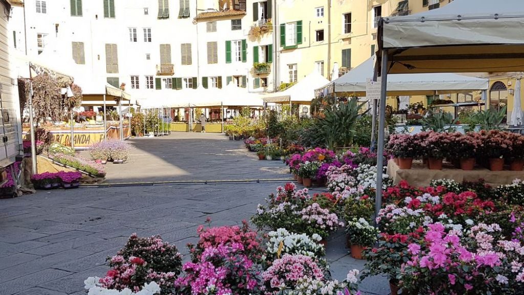 fiori e fronde