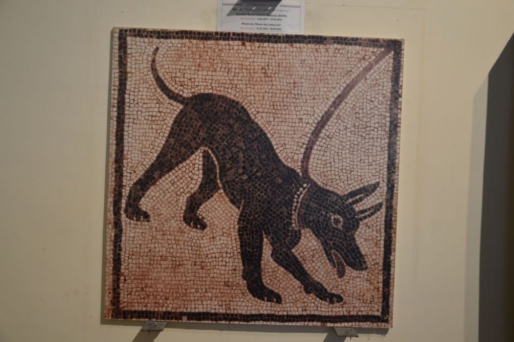 i musei più belli che abbiamo visitato