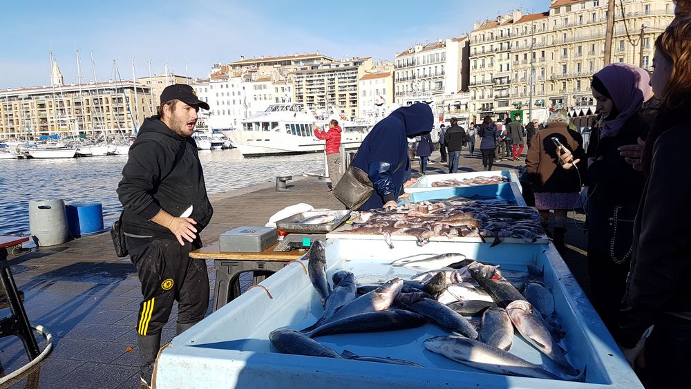 cosa vedere a marsiglia