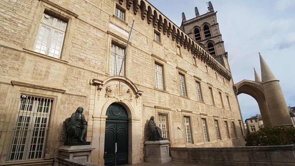 cosa vedere a Montpellier