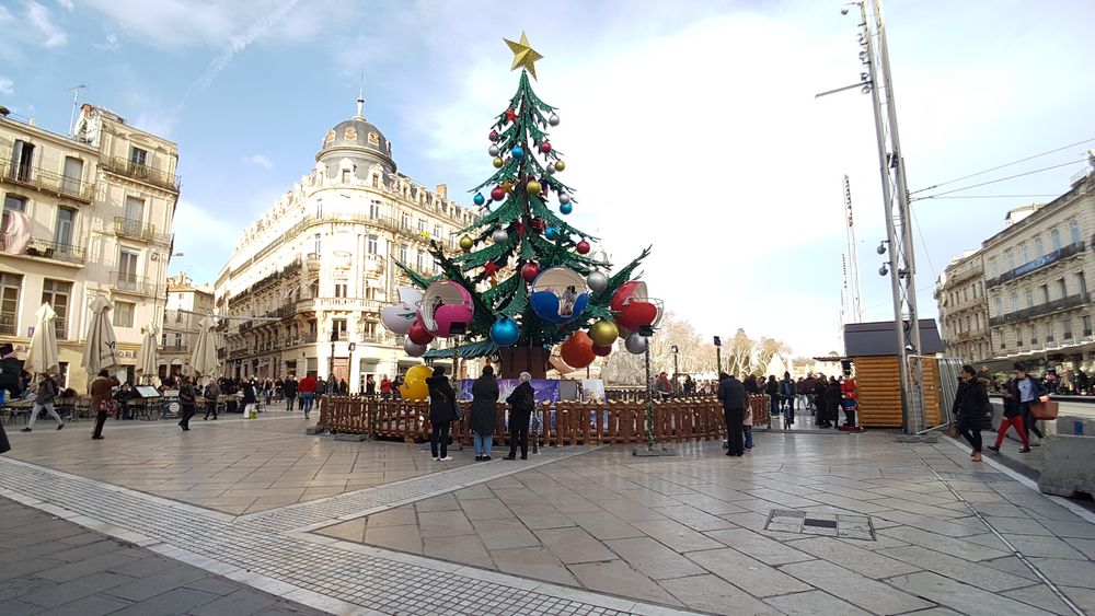 cosa vedere a montpellier