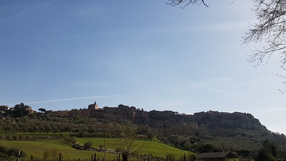 cosa vedere a orvieto