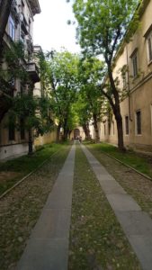 cosa vedere a parma in un giorno