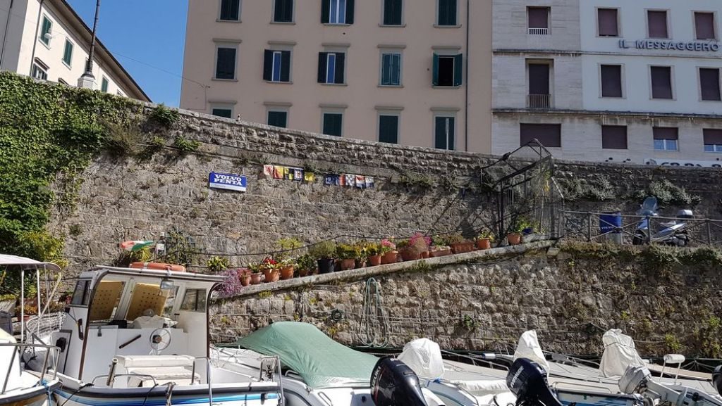 cosa fare a livorno