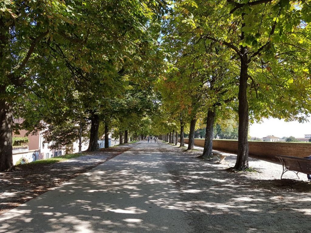 cosa vedere a Lucca