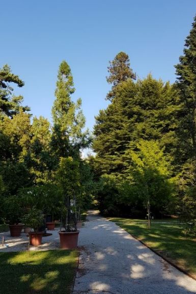 cosa visitare a Lucca