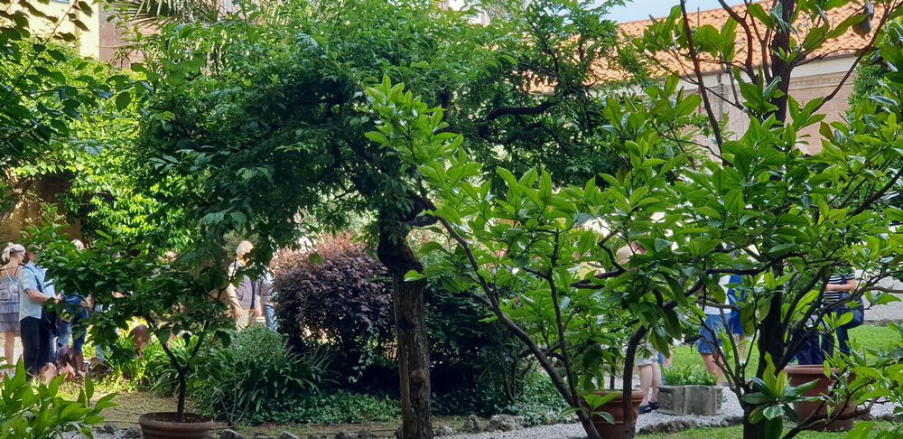 dimore storiche a lucca
