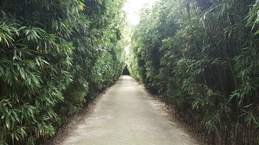labirint della masone di fontanellato