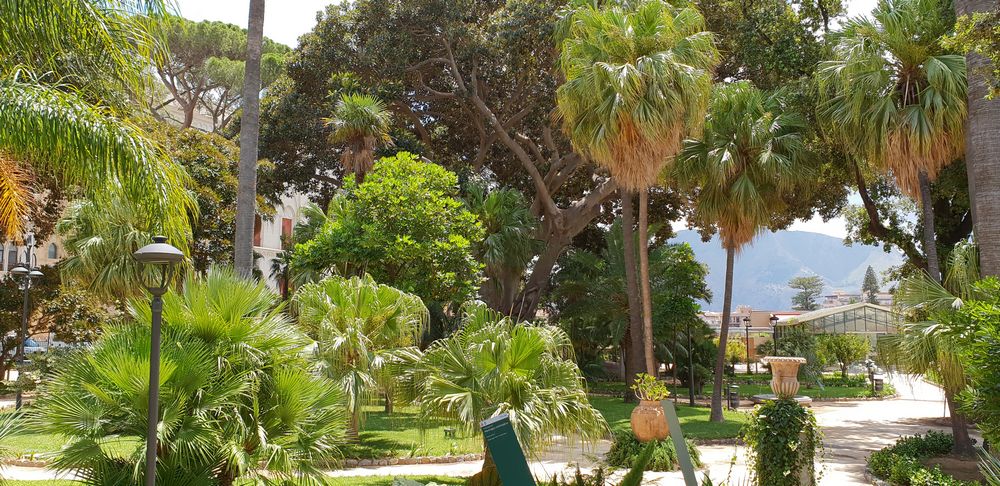 cosa vedere a palermo in 3 giorni
