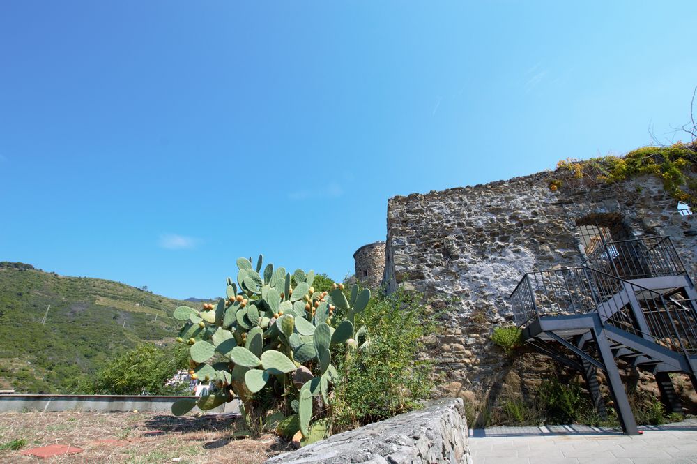 cosa vedere alle cinque terre