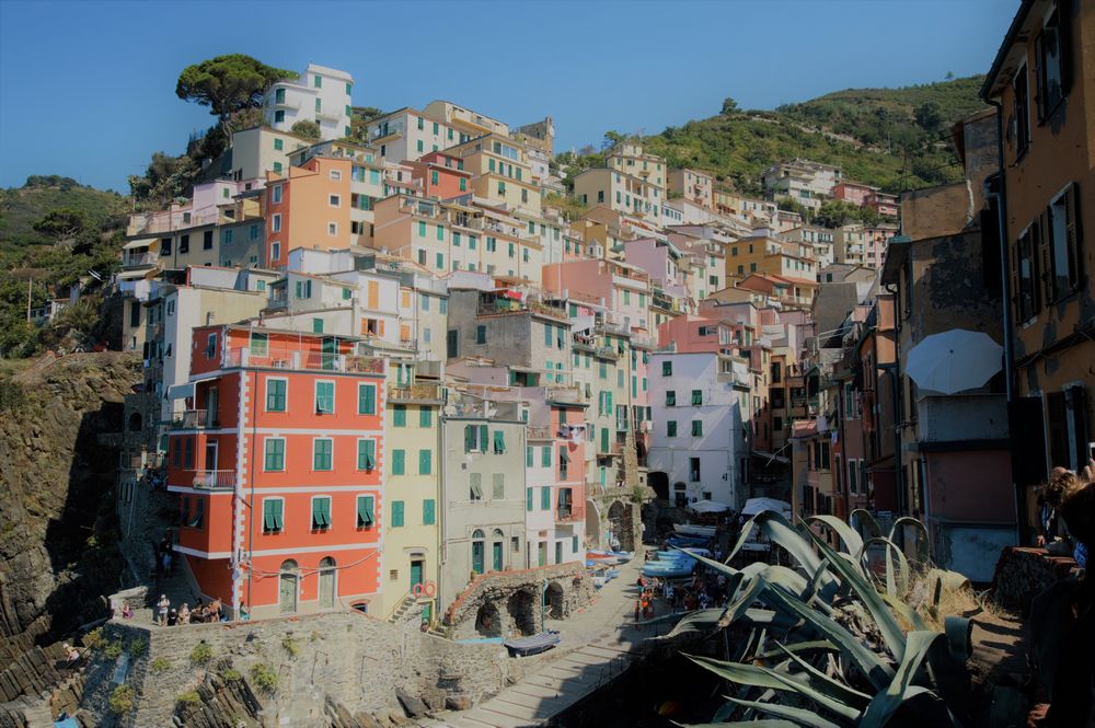 cosa vedere alle cinque terre