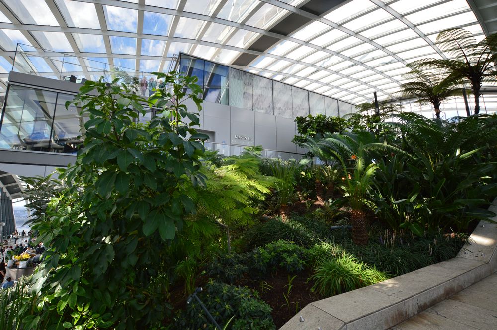sky garden di londra