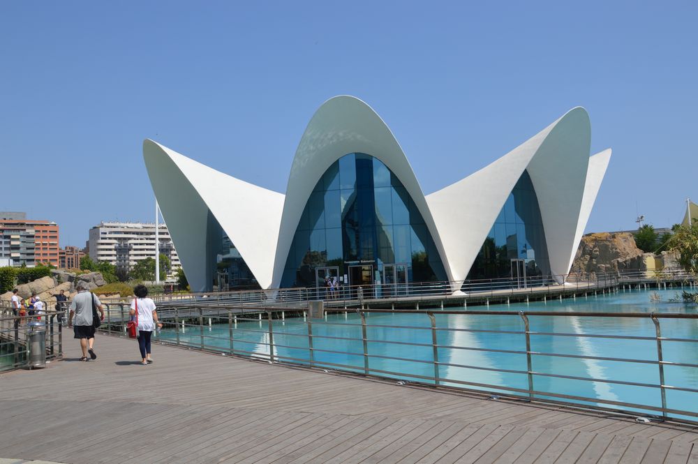 cosa fare a valencia