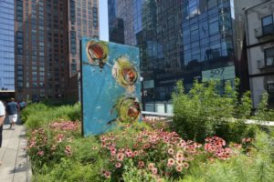 cosa fare e vedere a new york