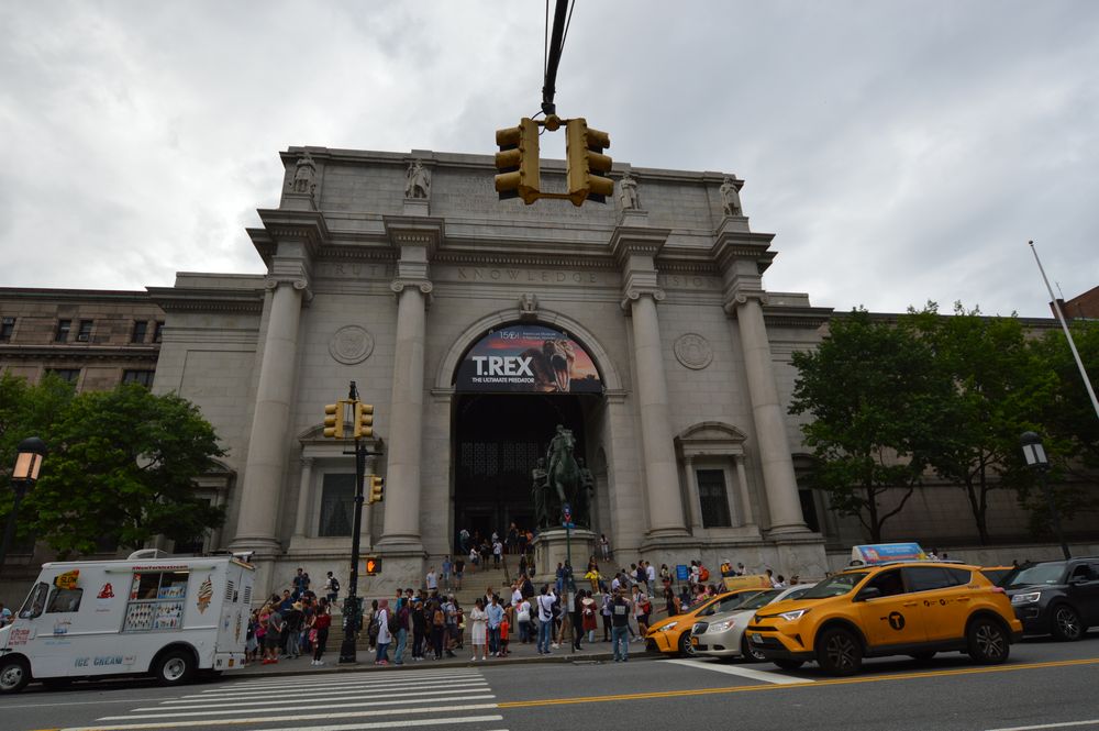 cosa fare e vedere a new york