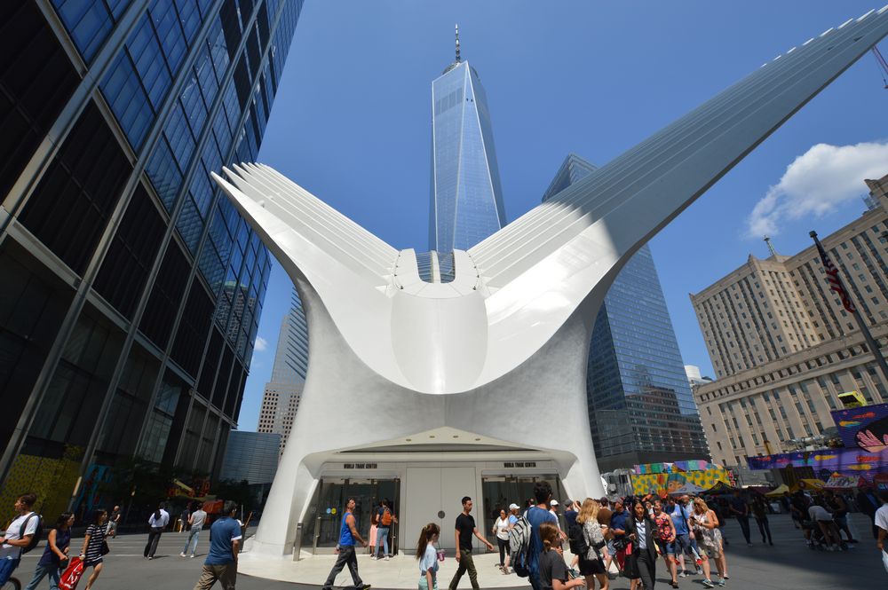 cosa fare e vedere a new york